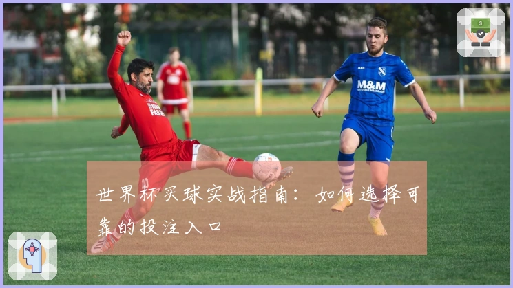 世界杯买球实战指南：如何选择可靠的投注入口