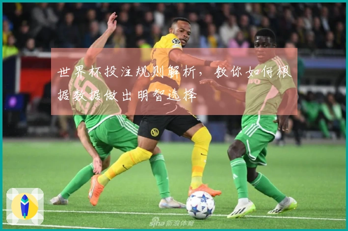 世界杯投注规则解析，教你如何根据数据做出明智选择