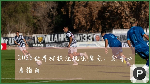 2026世界杯投注玩法盘点,新手必看指南