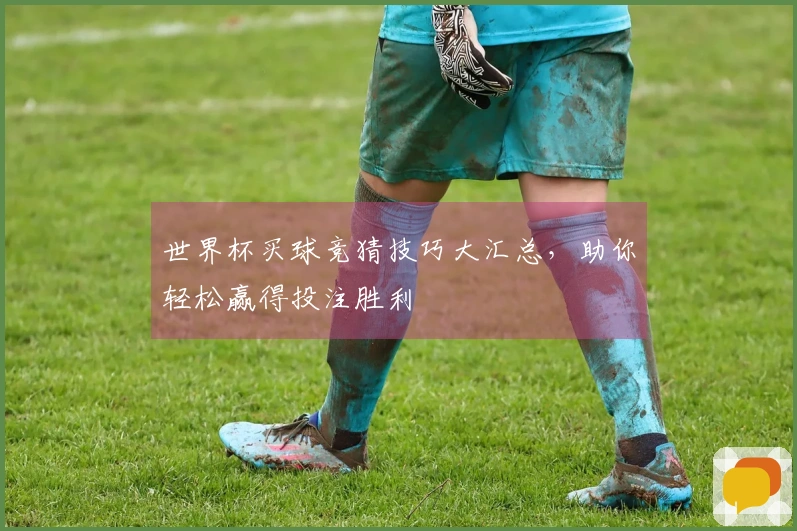 世界杯买球竞猜技巧大汇总，助你轻松赢得投注胜利