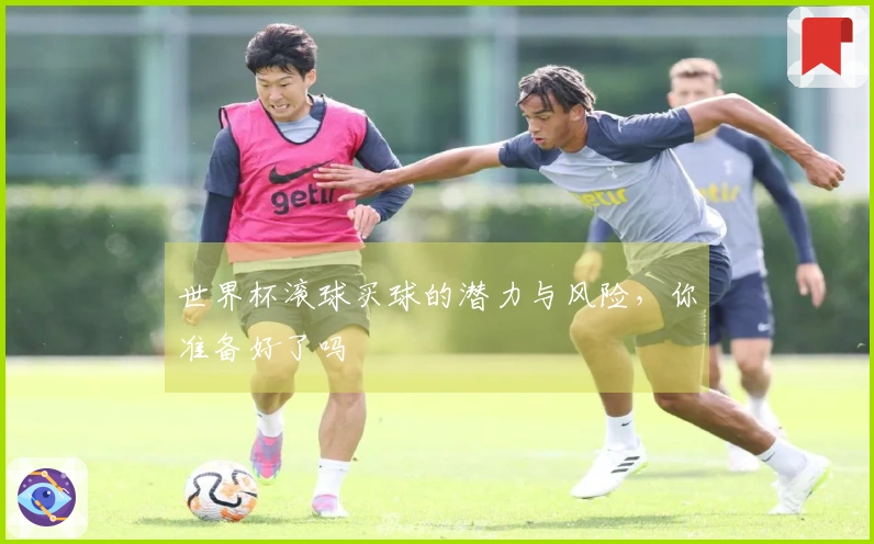 世界杯滚球买球的潜力与风险，你准备好了吗