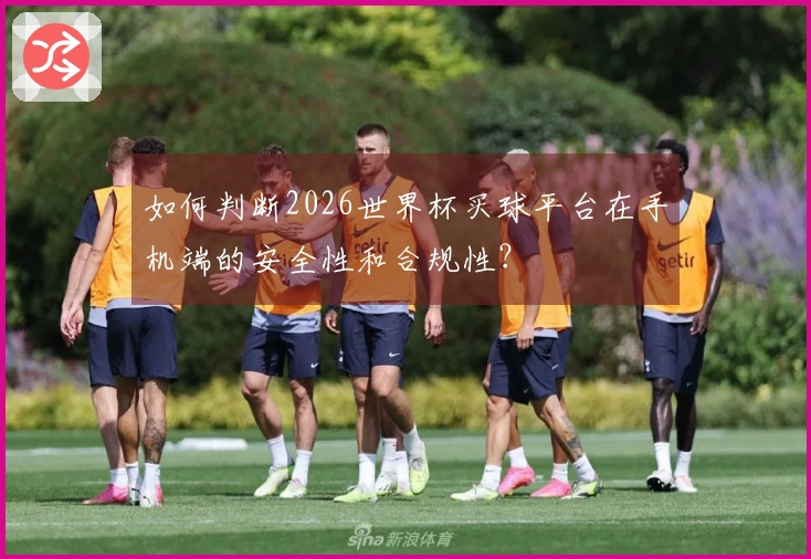 如何判断2026世界杯买球平台在手机端的安全性和合规性？